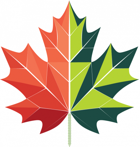 Entysa &ndash; Ecommerce & Software Solutions for Digital Transformation